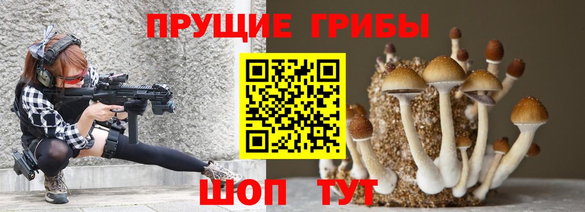 Псилоцибиновые грибы мухоморы  наркошоп  Тимашёвск  Галлюциногенные грибы мицелий  Вход с VPN 